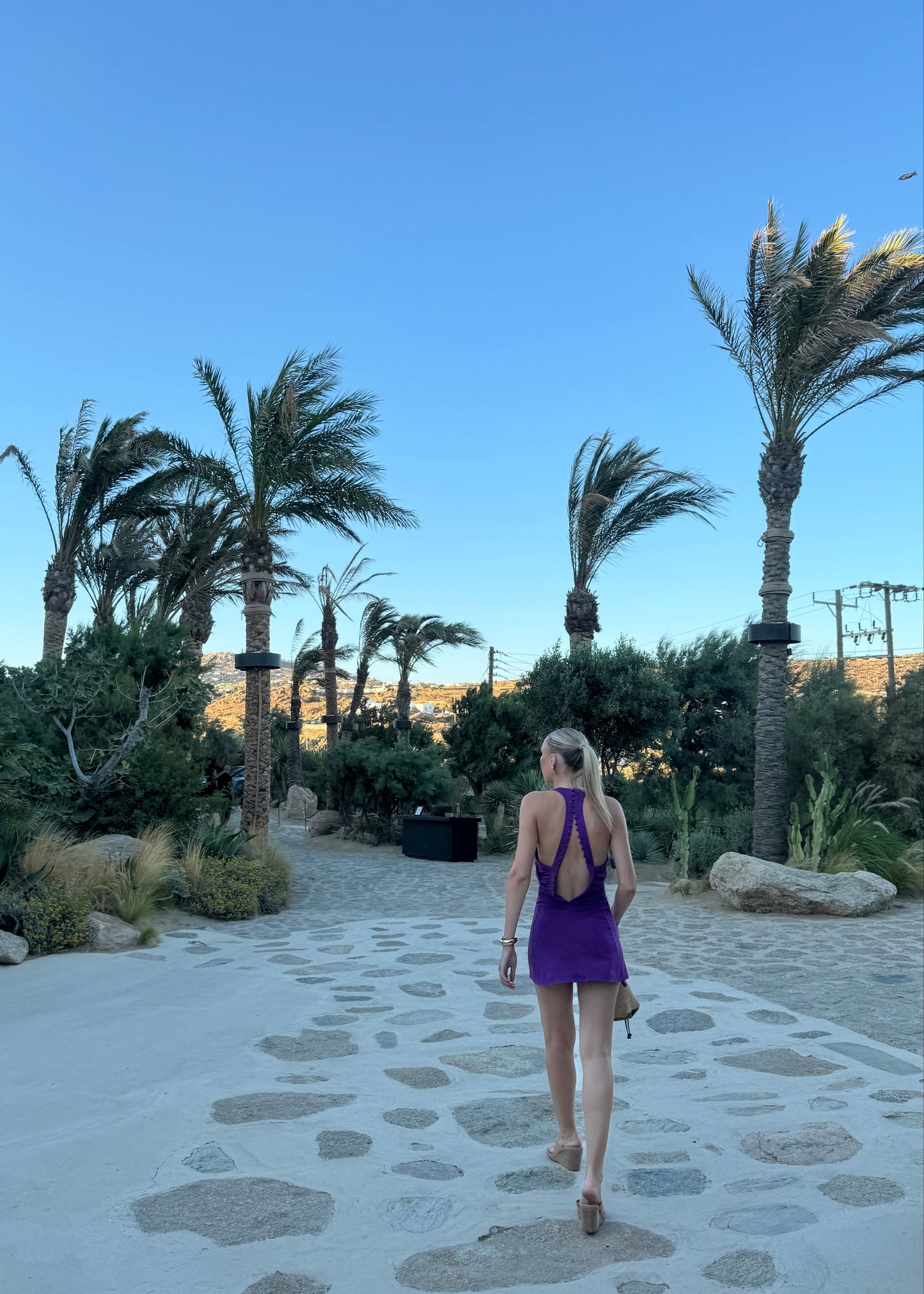 A woman in a purple backless dress walking away on a stone path surrounded by palm trees and greenery under a clear blue sky.