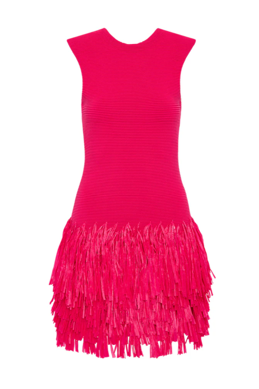 Aje Rushes Raffia Mini- Fuschia